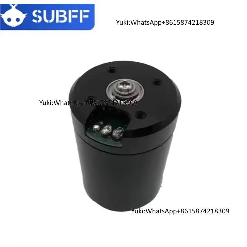 Motor Sumergible de 24V y 9kg  - Brushless Motor reseña y precio